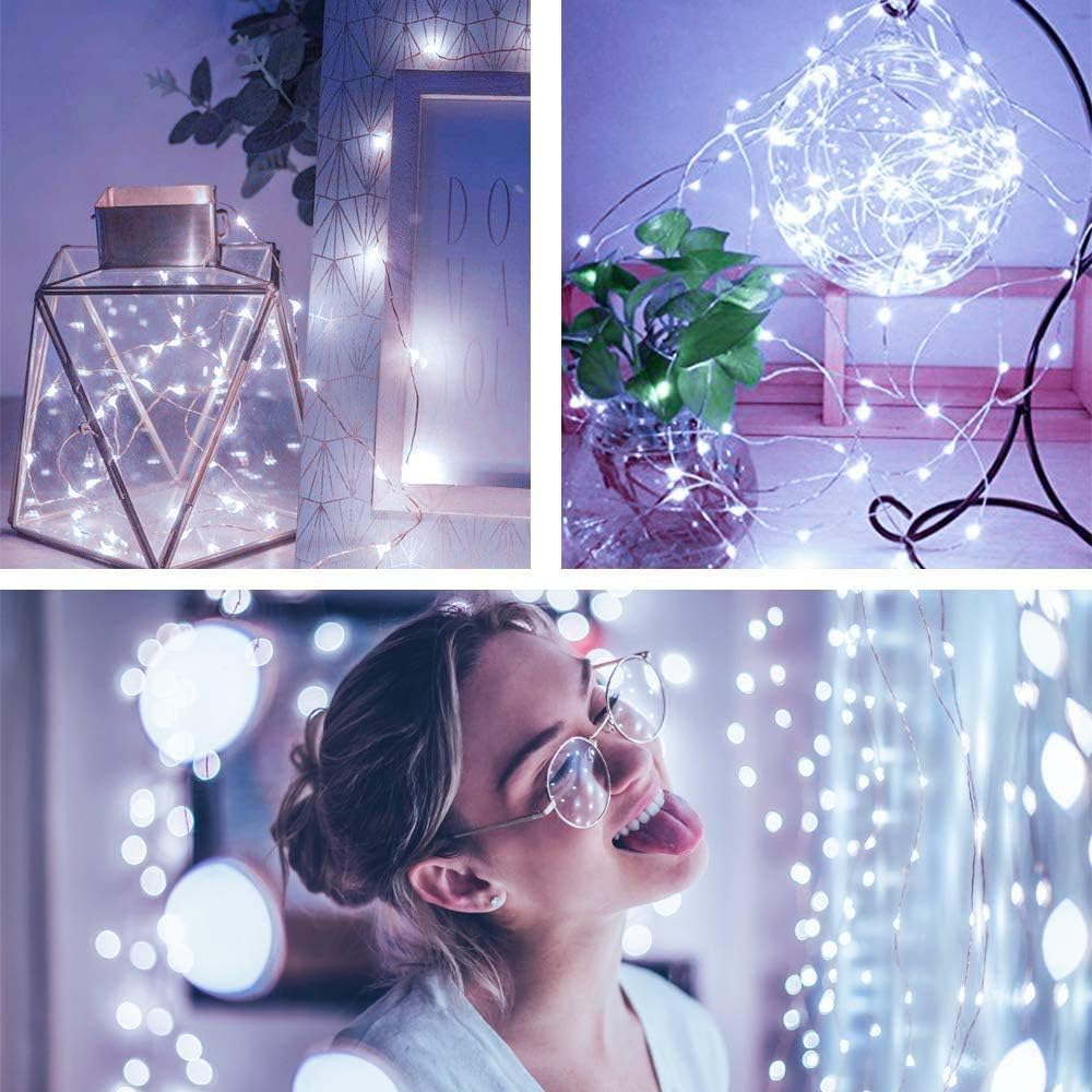 Skiennix 24-Pack Fairy Lights - Battery Operated 20 LED Mini Twinkle String Lights | Waterproof Silver Wire for Weddings & Christmas Decor - Warm White & Cool White