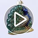 Old World Christmas Peacock Glass Ornament Handcrafted Holiday Decoration - Proud Peacock Variant
