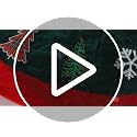 Soulchen 48 Inch Green Velvet Christmas Tree Skirt with Burgundy Trim