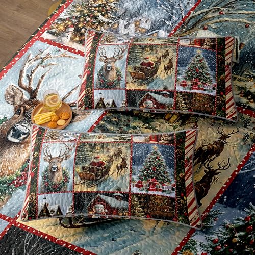 ITFRO Retro Christmas Queen Quilt Set Snow Scene Holiday Bedding with Pillow Shams