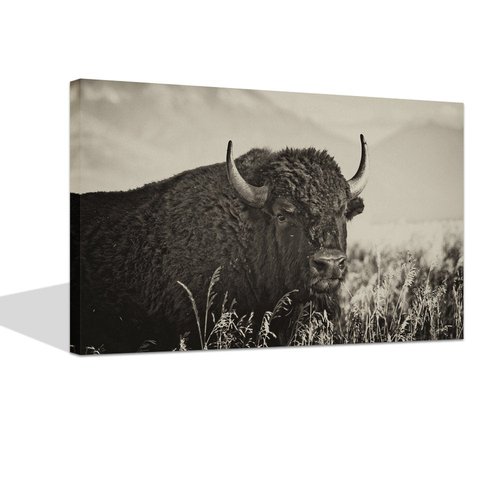 LevvArts - Animal Canvas Wall Art American Buffalo Portrait Painting on Canvas Wild Animal Artwork Sepia Photography Prints for Home Office Decoration Ready to Hang