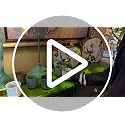 FIBOS Green Japanese Retro Ceramic Teacups – Coffee & Water Cups for Home & Restaurant