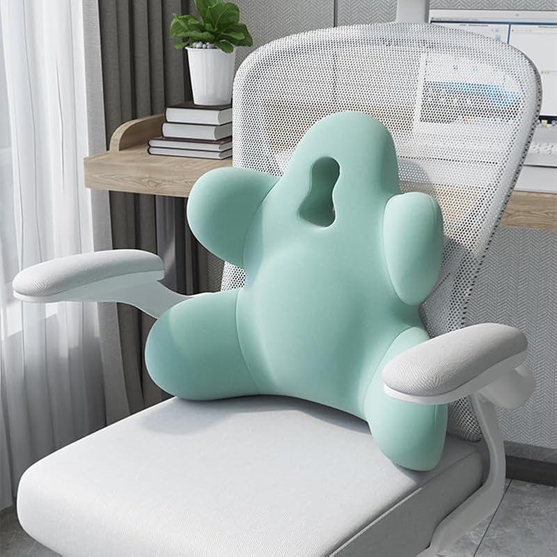 Memory Foam Lumbar Support Pillow for Office & Car Use