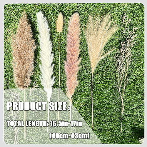 100 Pcs Natural Dried Pampas Grass & Bunny Tails Set - 17 Inch Boho Decor