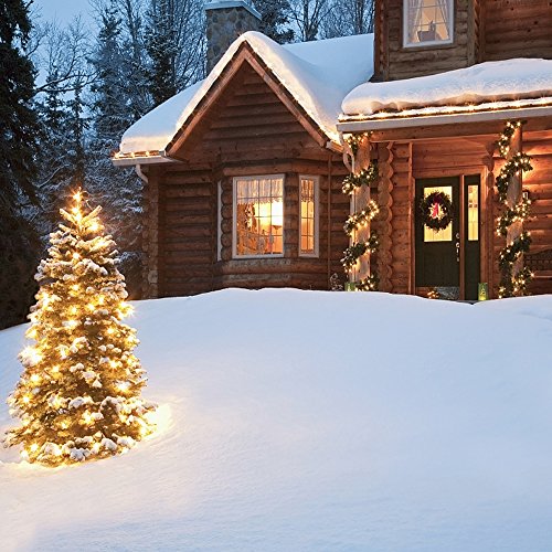 MAGOTAN Battery Operated String Lights 16ft 50 LED Waterproof Warm White with Timer - Indoor Outdoor Decor
