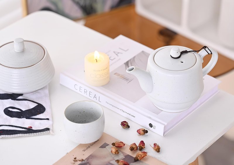 NCQIXIAO Rural Style Ceramic Teapot with Stainless Steel Infuser 16 Ounces Porcelain Blooming & Loose Leaf Teapot (White)