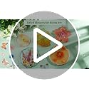 630 Pcs Dried Pressed Flowers and Butterfly Stickers Set for DIY Crafts