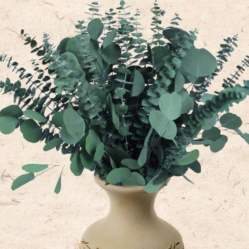 32-Piece Dried Eucalyptus Stems Bundle, 17-Inch Real Preserved Greenery