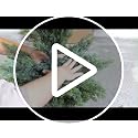 48-Inch Artificial Cedar Topiary Trees, 2-Pack UV-Resistant Faux Plants