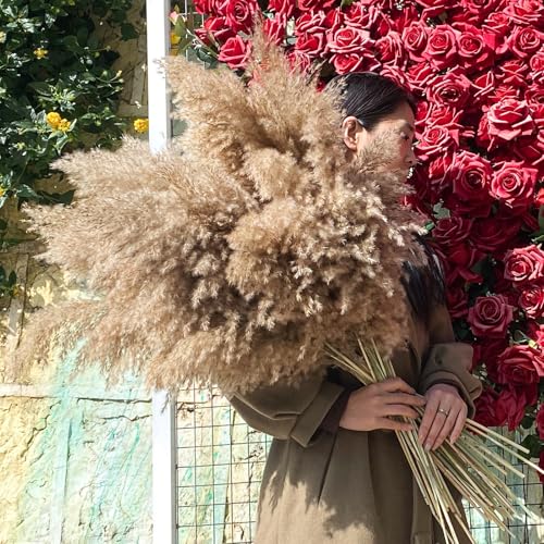 22pcs Natural Dried Pampas Grass Bouquet - 17-Inch Fluffy Boho Decor