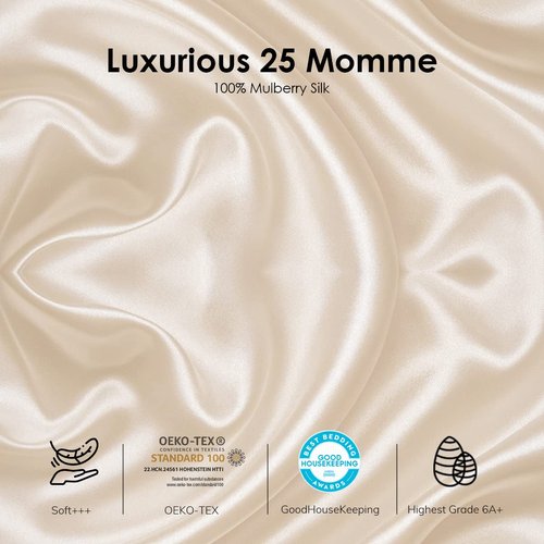 PROMEED Highest Grade 6A+ Mulberry Silk Pillowcase 25 Momme for Hair and Skin, Both Sides Premium Pure Silk, Anti-Allergy, Anti-Frizz (Queen 20"x30", Champagne)