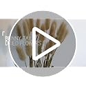 120pcs Dried Bunny Tails Grass 17-Inch Natural Pampas Floral Arrangement