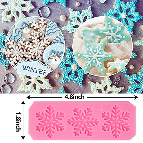 Rainmae Christmas 6 Pcs Snowflake Cake Mold Set - 3D Fondant & Chocolate Decorations, Winter Frozen Party Supplies, Variation 1