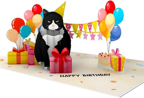 4BO Black Cat Pop-Up Birthday Card - Handmade 3D Greeting Card for Cat Lovers | Unique Fun Gift