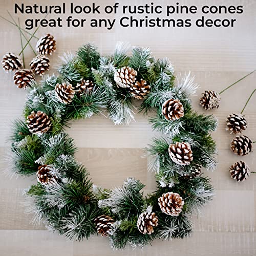 20 Pcs Snow Frosted Pine Cone Picks with Stems for Holiday Decor