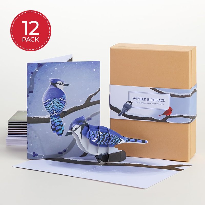 Lovepop Winter Bird Box Set (Assorted 12-Pack) Pop-Up Card for Her and Him - 3D Holiday Greeting Cards for Boys, Girls, Men, Women - 4.5" x 5.9" Paperpop Card - Envelope Included