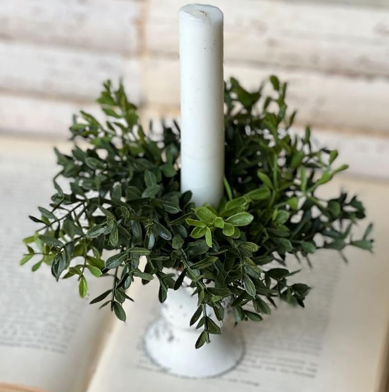6-Inch Boxwood Candle Ring with 2-Inch Center for Taper Candles