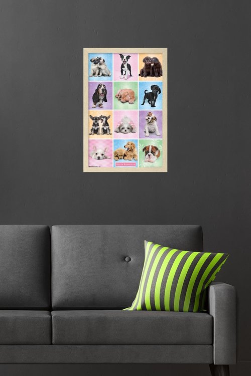 Keith Kimberlin - Puppies - Cuties Grid Wall Poster, 22.4L" x 14.7W", Blonde Framed Version
