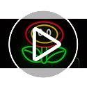 VIKLIU Fire Flower Neon Sign Dimmable Gaming Wall Decor for Man Cave Bedroom
