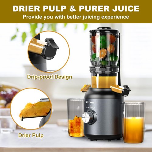 Juicer Machines, Cold Press Juicer with 4.2'' Large Feed Chute, Fit Whole Fruit and Vegetable Slow Juice Extractor Machine, 250W Masticating Juicer Easy To Clean, High Juice Yield, BPA Free