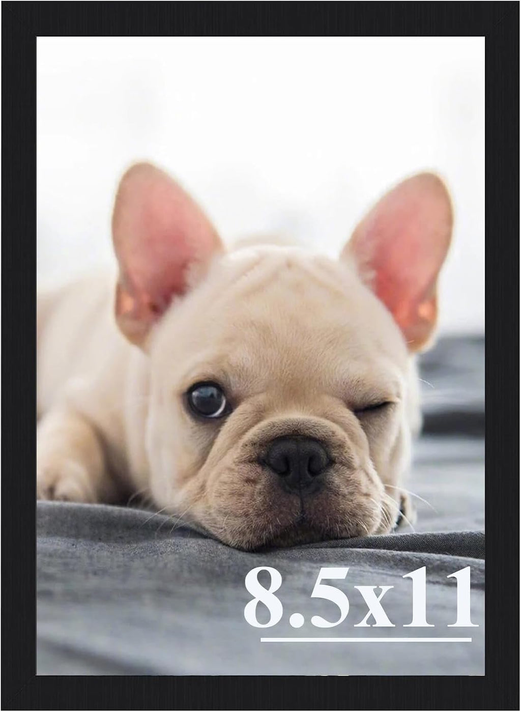 Skiennix 8.5x11 Picture Frame - Sturdy Black Frame with High Definition Plexiglass | Horizontal & Vertical Display