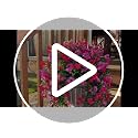 2-Pack UV Resistant Artificial Outdoor Flowers for Porch & Garden