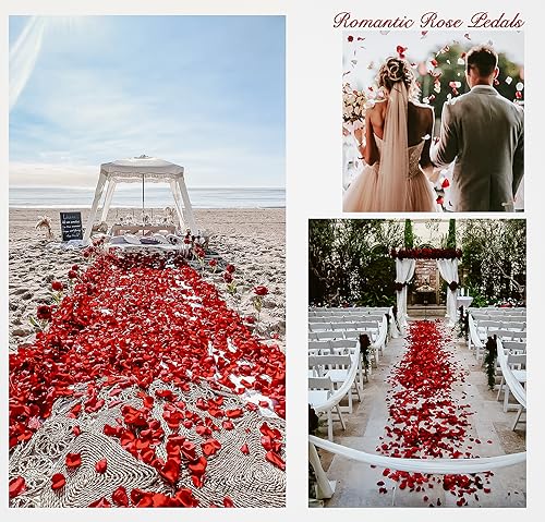 1000 Pcs Artificial Rose Petals for Romantic Nights, Weddings & Proposals