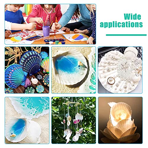 Large Natural White Scallop Shells (10 Pack, 4-5 Inch) for Crafts & Baking