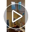 High Ceiling Duster Kit with 5-12ft Extendable Pole & Window Squeegee