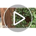 20-Inch Artificial Olive Wreath for Front Door, Realistic Leaf & Berry Decor