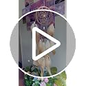 Handmade Feather Dream Catcher Wall Hanging Decor for Bedroom or Car