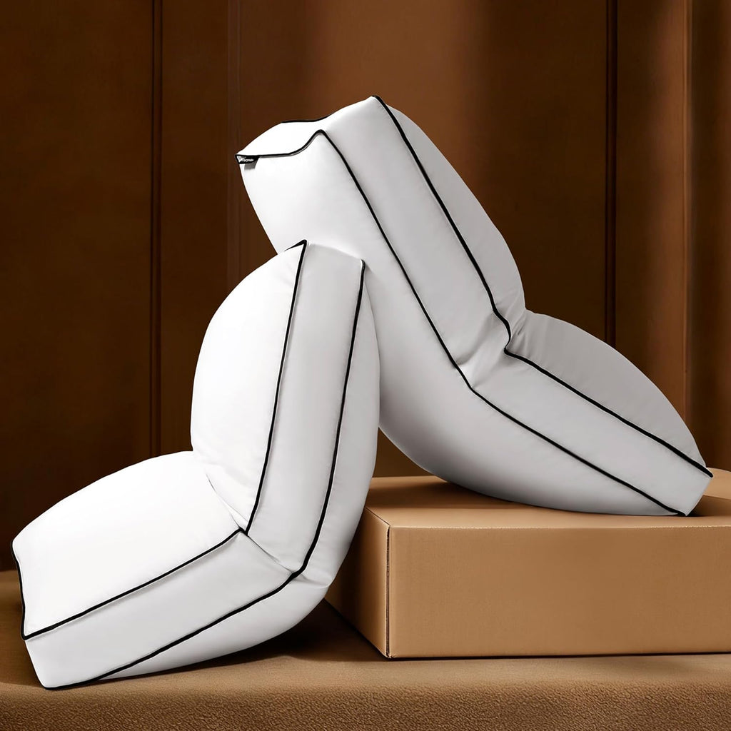 Regine Switzerland Goose Feather Down Pillows - Plush Queen Size Set of 2 for Side & Back Sleepers | 20x30 in.