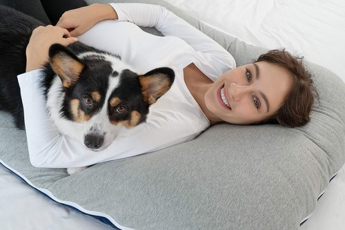 Meiz Pregnancy Pillow - Full Body Cooling Pillow with Reversible Jersey & Velvet Covers | Blue & Grey