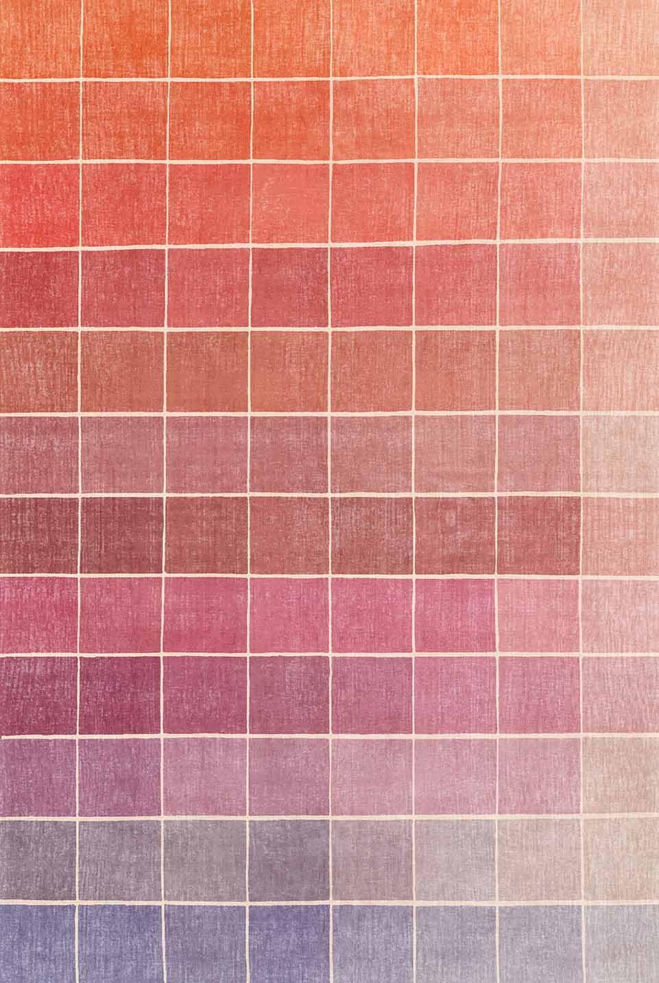 Skiennix Mid Century Modern Ombre Pink Checkered Rug - Washable Non-Slip 2x3 Small Area Rug for Entryway & Kitchen