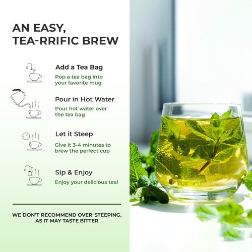 Life Plus Style Gourmet Of The Earth Pure Peppermint Herbal Tea Refreshing Minty & Cool Flavor Non GMO Caffeine Free Eco Conscious 30 Tea Bags Enjoy Hot or Cold
