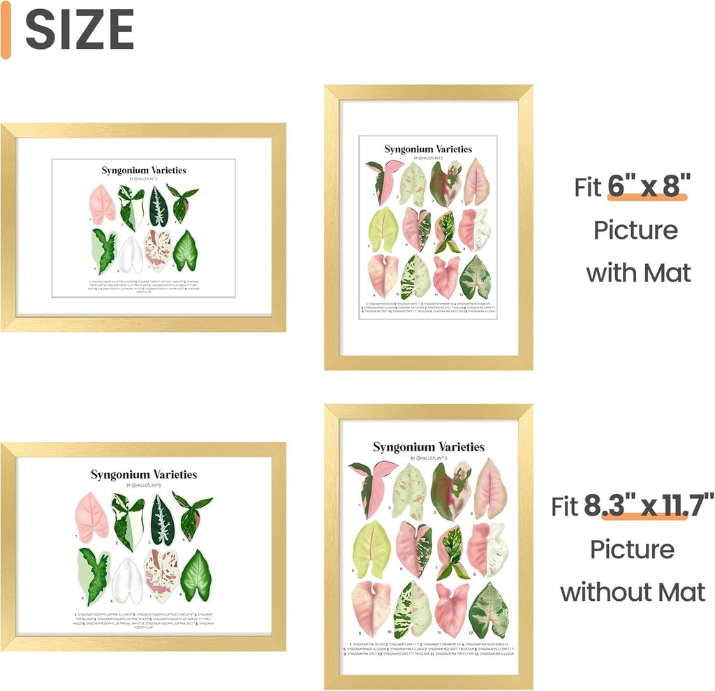 Upsimples A4 Picture Frame - Elegant Gold Wall Hanging for 6x8 Photos with Mat or 8.3x11.7 Without