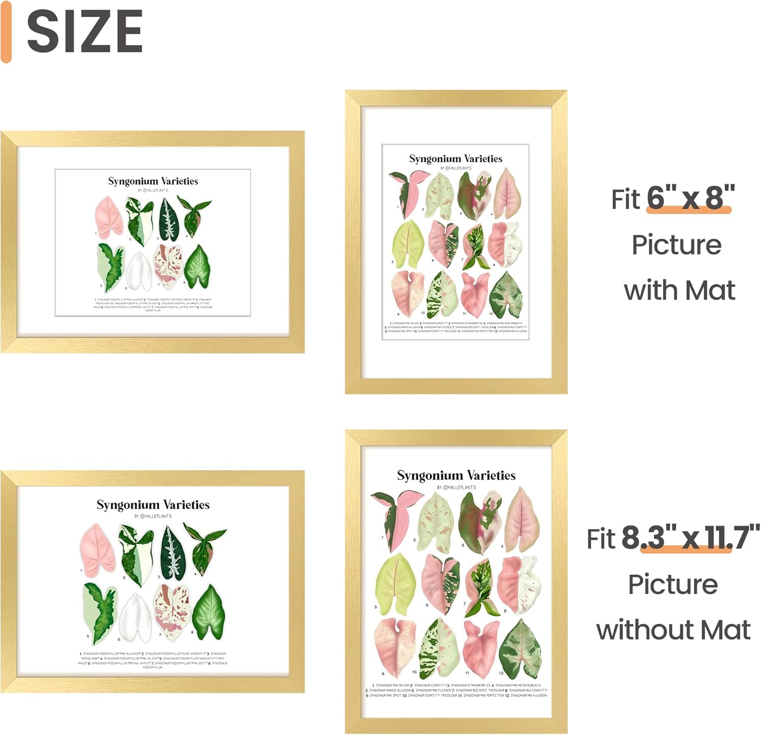Upsimples A4 Picture Frame - Elegant Gold Wall Hanging for 6x8 Photos with Mat or 8.3x11.7 Without