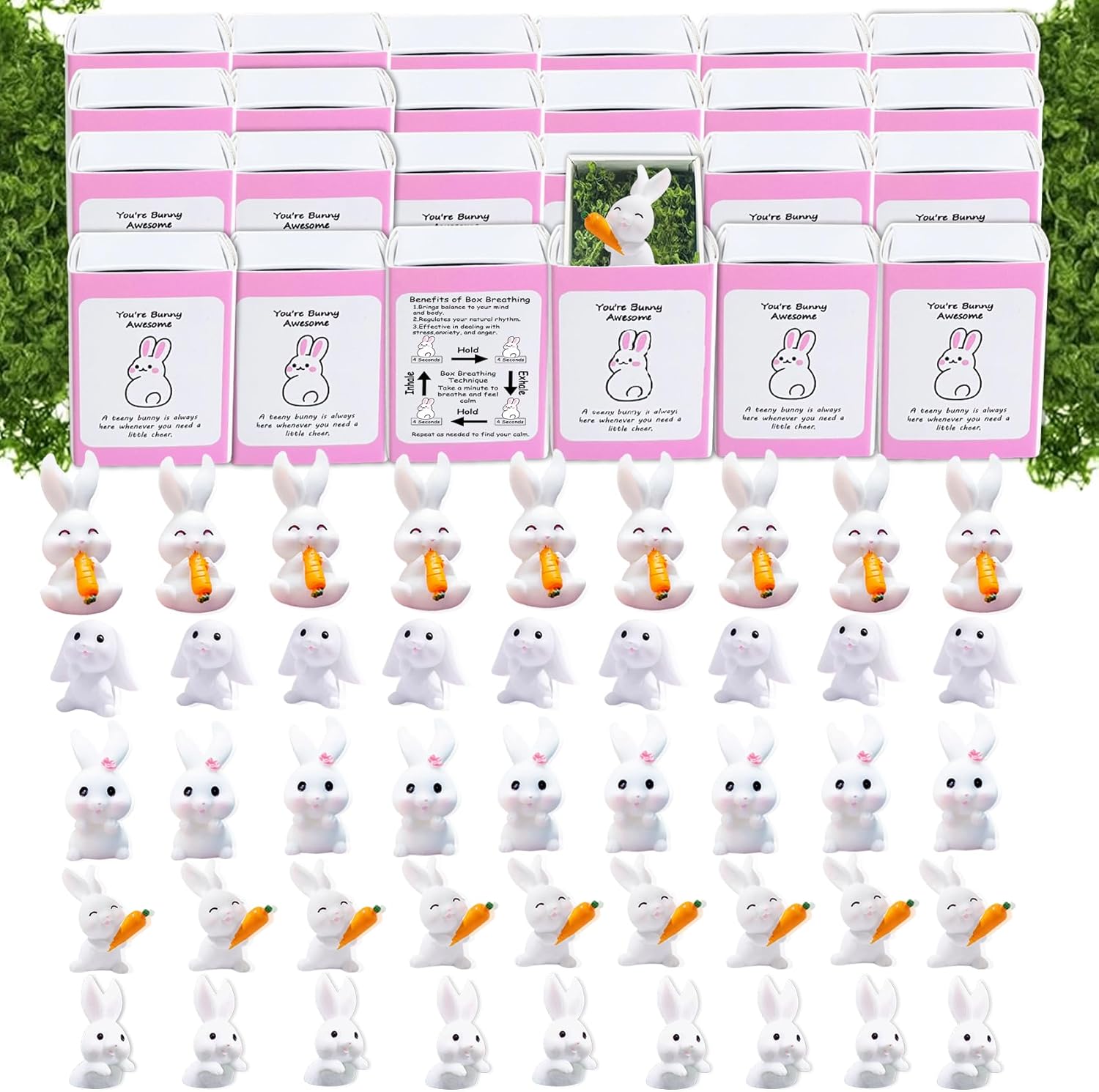 Regine Switzerland Positive Rabbit Gifts - 50 Set Bulk Employee Appreciation Box for Coworkers & Teachers