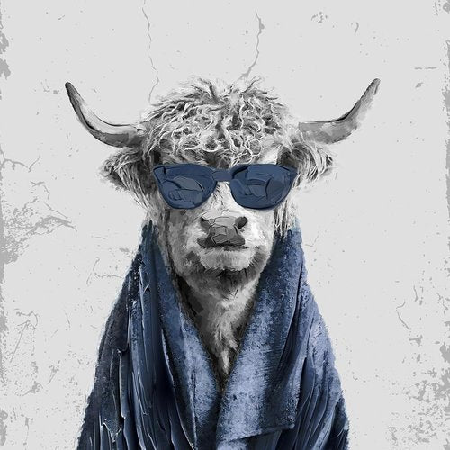 Highland Cow Art | Funny 4-Piece Bathroom Wall Decor - Cute Navy Blue Prints for Restroom