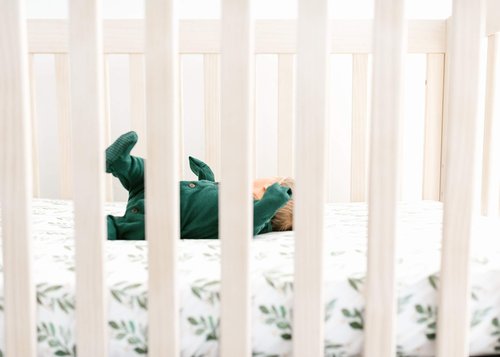 Copper Pearl Premium Knit Baby Crib Sheets for Boys and Girls Breathable and Soft, Fitted Crib Sheets for Standard Baby Mattresses, Fern