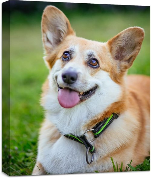 Custom Canvas Prints - Personalized Framed Wall Art | High Definition Photo Prints for Home Decor (8" L x 10" W)