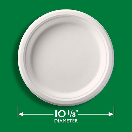 Hefty ECOSAVE Compostable Paper Plates - 10-1/8 Inch, Eco-Friendly, 45 Count