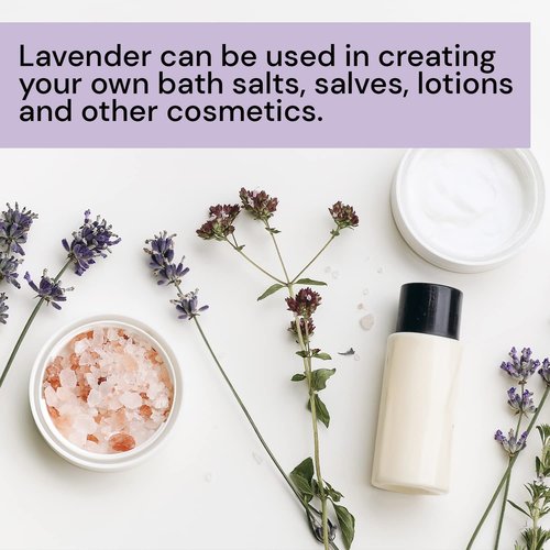 Waterglider International Dried Organic Lavender Flowers (8 lb Box), Bulk Lavender Buds