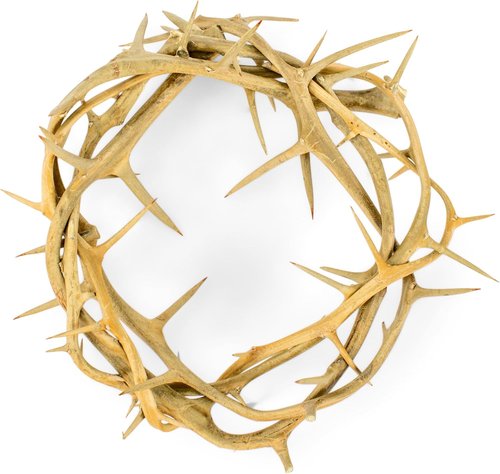 Cottage Garden Crown of Thorns - Real Wood Gift Box with Scripture Tag | 6-Inch Round Design