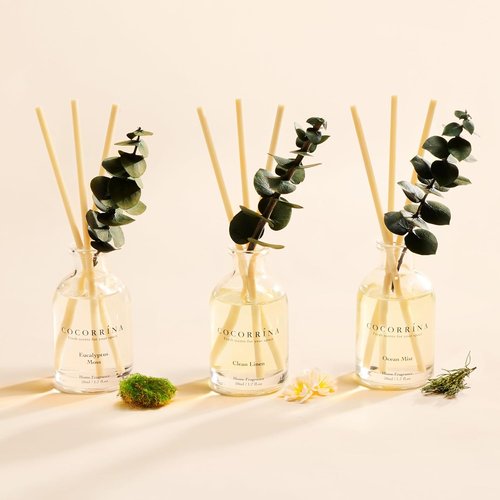 COCORRÍNA Eucalyptus Reed Diffuser Set - 3 Invigorating Scents: Eucalyptus & Moss, Clean Linen, Ocean Mist | 1.7 fl oz Each
