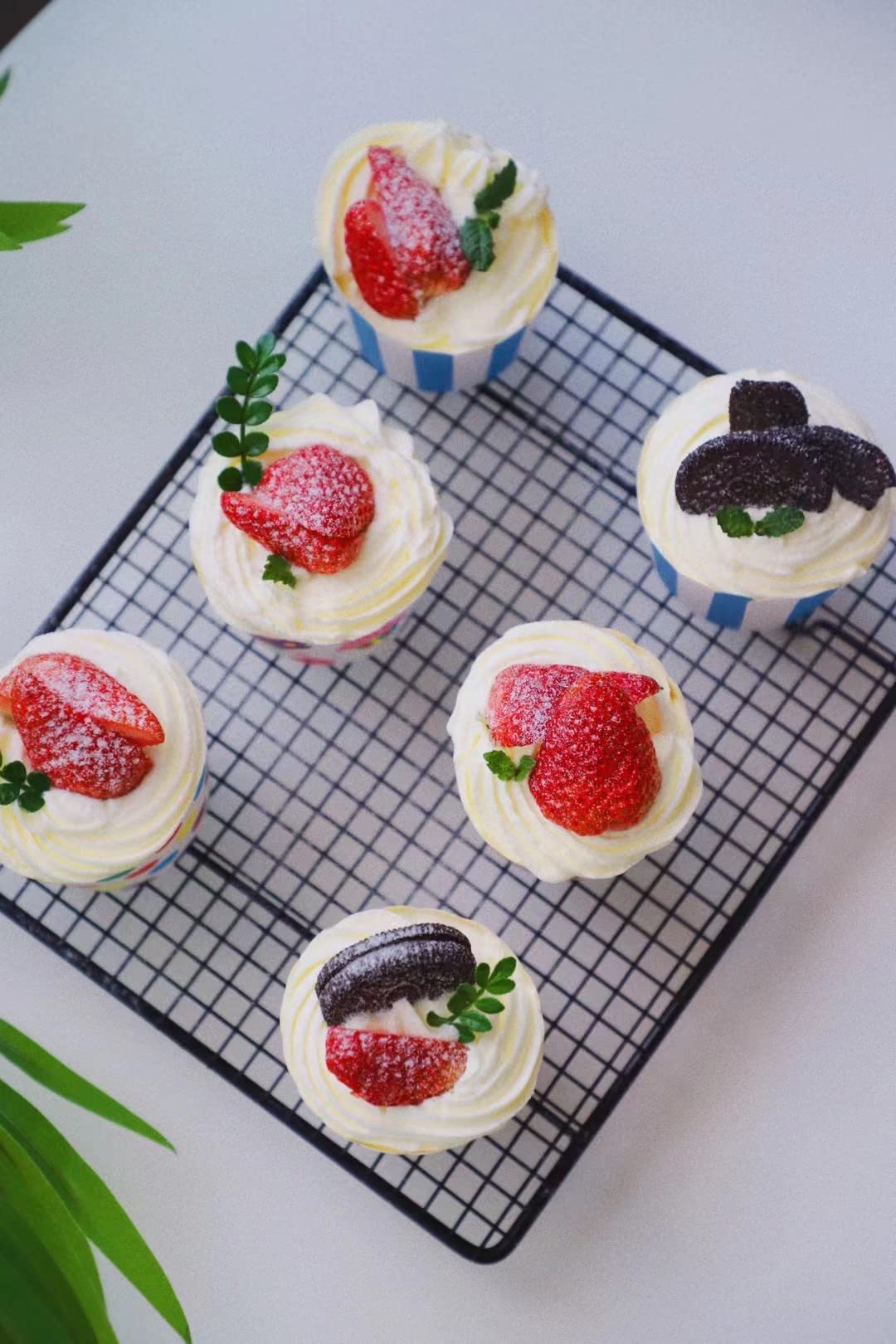 Bertacy Quality Cupcake Baking Cups Disposable Cake Baking Cup Cupcake Muffin Fit Home Party(100pcs)