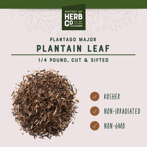 Dried Plantain Herb Leaves Cut & Sifted, by Herb Co, for Tea Blends (Cuckoos Bread Ripple Grass), 1/4 lb