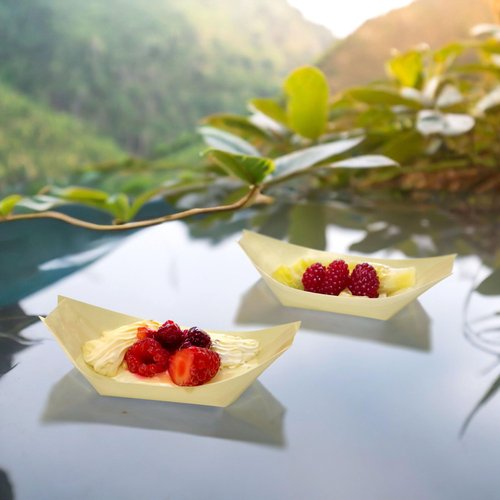 BambooMN - Disposable Food and Appetizer Wood Boat Dishes - 6.7" x 3.5" x 1" - 300 Pieces