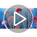 8 Pcs Pink and Purple Jellyfish Honeycomb Hanging Decorations for Parties