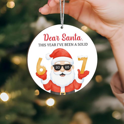 67 Meme Funny Christmas Ornaments - Hilarious Santa Tree Decor | Perfect Gag Gifts & Stocking Stuffers